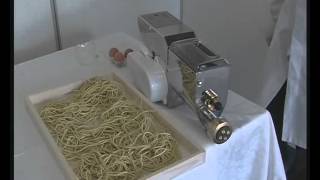 Macchina per pasta con trafile Made in italy professionale bigolaro elettrico LILLODUE [upl. by Lalat]