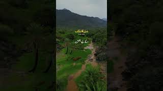 Surah Al Mulk ayat 1213 urdu translationytshortsshortsquranurduislamicviralshortsviralvideo [upl. by Annaitat]