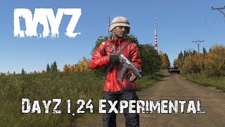 Everything New In DayZ Update 124 Experimental [upl. by Gnouh]