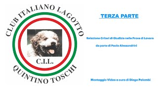 IL LAGOTTO ROMAGNOLO AGGIORNAMENTI SU ASPETTI MORFOLOGICI E DI LAVORO TERZA PARTE [upl. by Holtorf357]