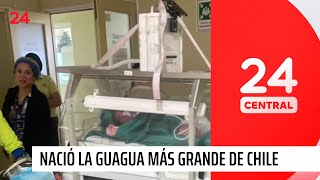 Nació la guagua más grande en la historia de Chile  24 Horas TVN Chile [upl. by Ellard364]