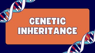 Pleiotropy Vs Epistasis Vs Polygenic inheritance [upl. by Arhaz]