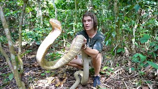 Worlds Most VENOMOUS Snakes DOCUMENTARY King CobraInland TaipanReticulated Python [upl. by Atlanta]