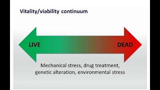 Molecular Probes Educational Webinar The meaning of life at the cellular level— Probing viability w [upl. by Esli]