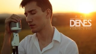 Pál Dénes  A széltől is óvsz Official Video [upl. by Pippa]