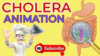 What is cholera  Causes Signs and Symptoms Diagnosis  Treatment  cholera animation  diarrhea [upl. by Granniah144]