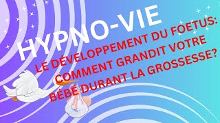 Le Développement du Fœtus – Comment Votre Bébé Grandit Durant La Grossesse [upl. by Aicatan]