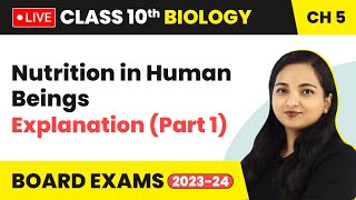 Nutrition in Human Beings  Explanation Part 1  Class 10 Biology Chapter 5 LIVE 202324 [upl. by Nimajneb523]