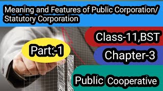 Class11 BST  Ch3  Meaning and Features of Public CorporationStatutory Corporation in Hindi [upl. by Serilda604]