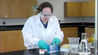 Electrophoresis Basics [upl. by Christianna964]