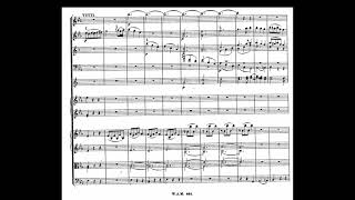 Mozart  Piano Concerto no 24 in c Minor KV491 I MovScore [upl. by Oicneserc995]