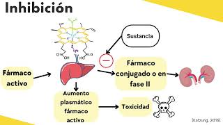 Metabolismo farmacológico por el CYP450 [upl. by Fee]