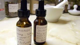 How To Make A Tincture  Herbalism Basics 3 [upl. by Modestine]