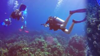 Diving with Roatan Divers [upl. by Rehnberg9]