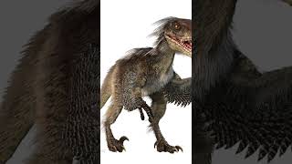 Velociraptor Sound Effects [upl. by Cockburn]