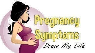 Draw My Life What Happens To A Womans Body During Pregnancy [upl. by Sproul]