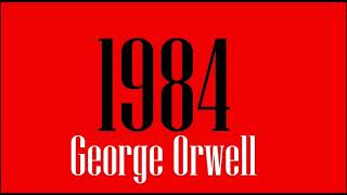 1984 di George Orwell  Parte 8  Audiolibro Italiano [upl. by Astra]