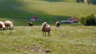 Beautiful Zlatibor A Blessing from Orthodox Serbia Part 1 [upl. by Kirrad]