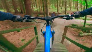 Pie Run into Mushyroom trail at Glentress MTB [upl. by Lleira968]