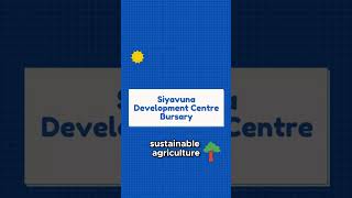 Ciavuna Development Center Bursary Sustainable Agriculture [upl. by Naesar]