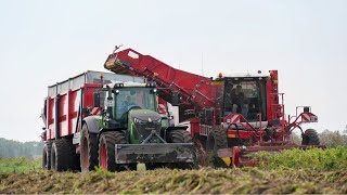 Mencke Landbouw BV  Aardappel rooien 2024  Grimme Varitron 470  Fendt 1050  VGM hooglosser [upl. by Emelia849]