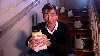 CBeebies Bedtime Stories 1x147 David Tennant How High Is the Sky [upl. by Murdocca]