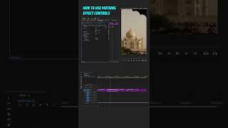 Motion Effect Controls  Adobe Premiere Pro में motions कैसे लगाये shorts [upl. by Eugenio]