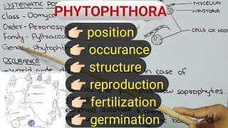 Life cycle of Phytophthora  Fungi  with notes conceptualizestudy [upl. by Monaco]