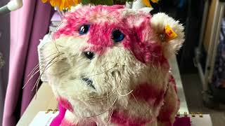 Steiff Bag Puss 50th Anniversary Edition Plush Cat Teddy Denby Mint unboxing [upl. by Moe]