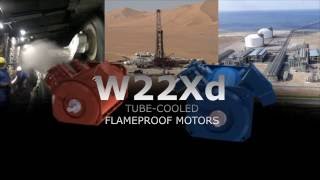 W22xd Tube Cooled Flameproof Motor [upl. by Reivazx]