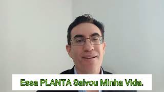 Essa PLANTA Salvou Minha Vida [upl. by Llyrat]