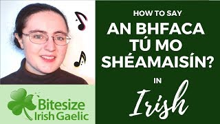 How to say quotAn bhfaca tú mo Shéamaisínquot a famous song in Irish Gaelic [upl. by Benisch]