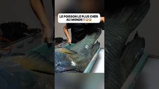 Le poisson le plus cher au monde‼️😱😱food delicious découverte poisson fish bluefish pourtoi [upl. by Buchalter]