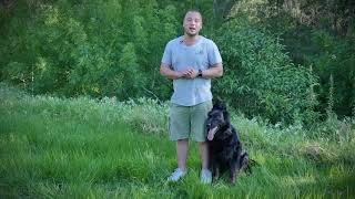 Positive K9 Training – Melbourne Dog Trainers [upl. by Moulton]