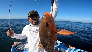 PESCA INESPERADA CON JIGGS [upl. by Calabrese]