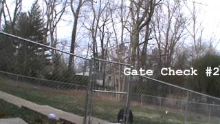 Bernese Mountain dog jumps fence [upl. by Arretnahs]