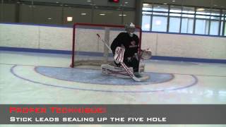 Breakaway Video Goaltending [upl. by Lovato484]