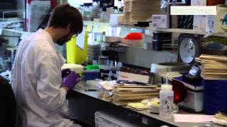 Extracellular Matrices Innovative Cancer Research at Beatson Institute [upl. by Anastatius]