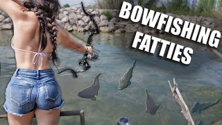 BOW FISHING CLEAR WATER FOR FATTIES  Bowmar Bowhunting [upl. by Nahor]