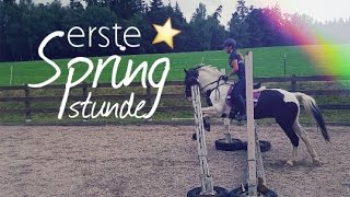 Allererste Springstunde ⭐️  AampG HorseDiary [upl. by Boggs]