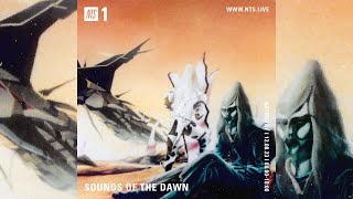 SOTD on NTS 107 New Age  Ambient  World  Electronic  Synth  Psych  Jazz Music Cassette Mix [upl. by Bridie]