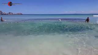 Pesca ARTESANAL De Rede No Canto Da PRAIA GRANDE EM ARRAIAL DO CABO RJ BRASIL 🇧🇷 [upl. by Isac879]