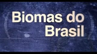 Biomas do Brasil  Amazônia  Maria Lúcia Absy  Instituto Nacional de Pesquisas da Amazônia [upl. by Darill]