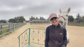 Parking Out By Mounting Block Part 1  Tennessee Walking Horse  Minnie [upl. by Bohlin]