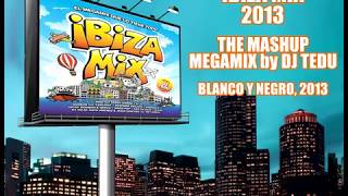 Ibiza Mix 2013  The Mashup Megamix [upl. by Kellyn643]