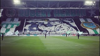 ASSE 2 4 OM  Grosse ambiance dans le chaudron malgrés la défaite et le report du match [upl. by Cressida]