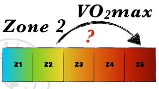 Zone 2 Un Moyen Simple pour Améliorer ta VO2max [upl. by Sseb587]