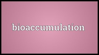 Bioaccumulation Meaning [upl. by Leiuqeze672]