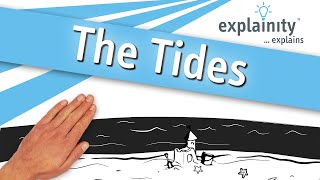 The Tides explained explainity® explainer video [upl. by Thetisa682]