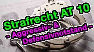 Aggressiv und Defensivnotstand §§ 228 904 BGB  Strafrecht AT 10 [upl. by Stanhope]